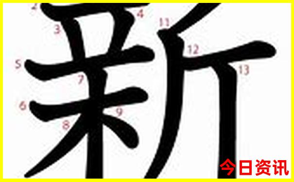 新澳门天天好彩资料大全